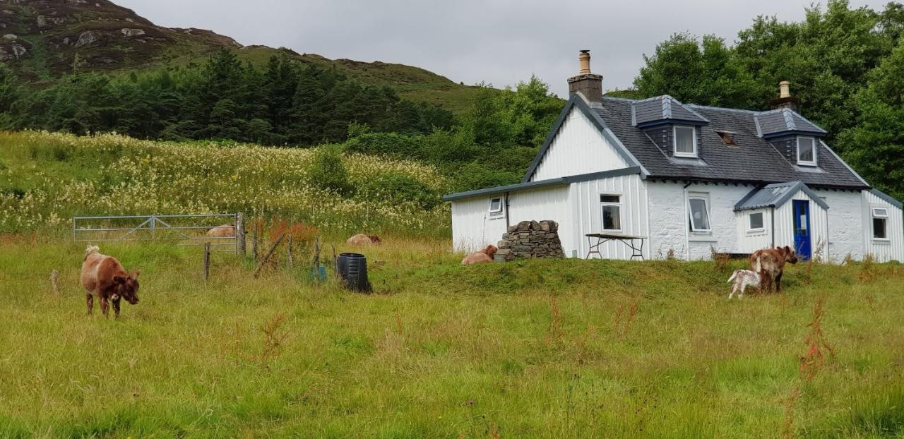 Isle Of Carna, Secluded Scottish Island, Loch Sunart Acharacle Exterior foto